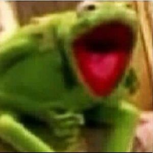 Meet your Posher, Ella